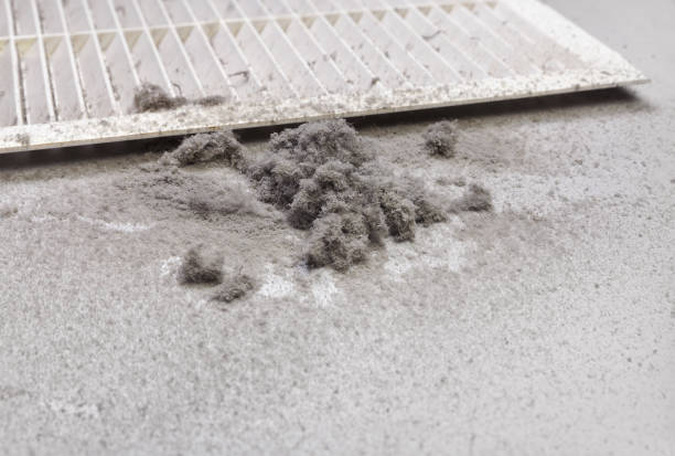 Best Local Air Duct Cleaning Services  in Ridgewood, NJ