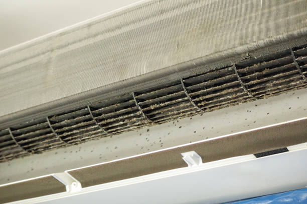 Best Dryer Vent Cleaning Services  in Ridgewood, NJ